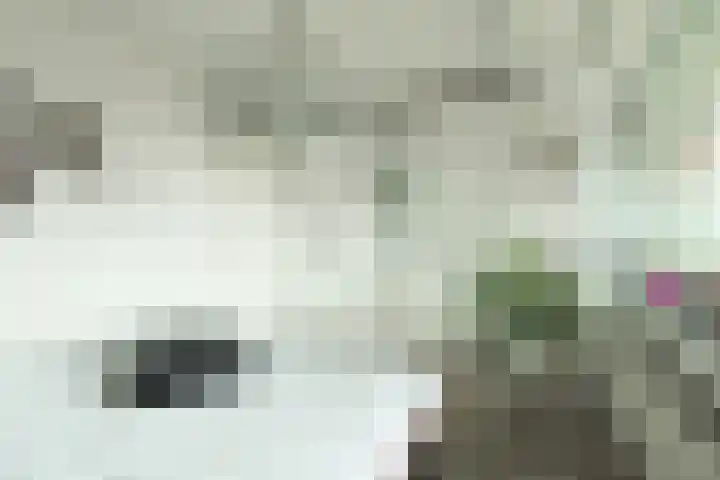 Reling 303 Barendrecht thumbnail 19
