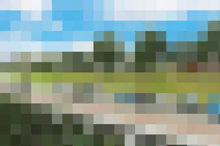 Reling 303 Barendrecht thumbnail 22