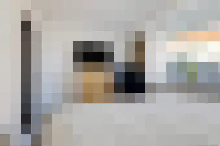 Reling 309 Barendrecht thumbnail 21