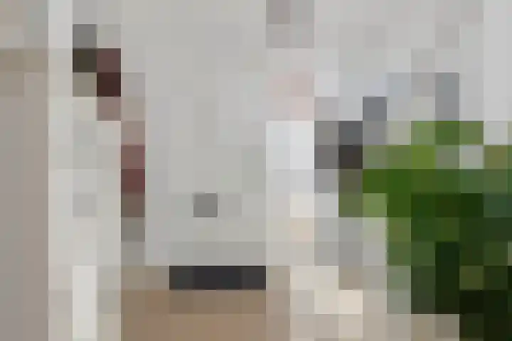 Reling 309 Barendrecht thumbnail 6