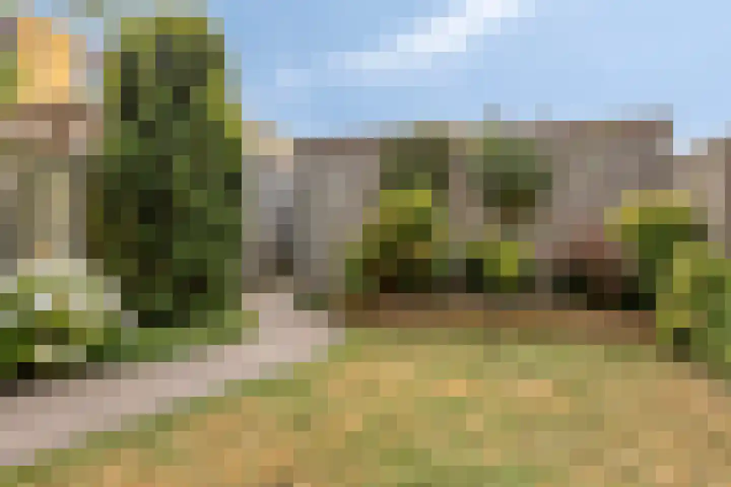 Reling 4 Almere thumbnail 20