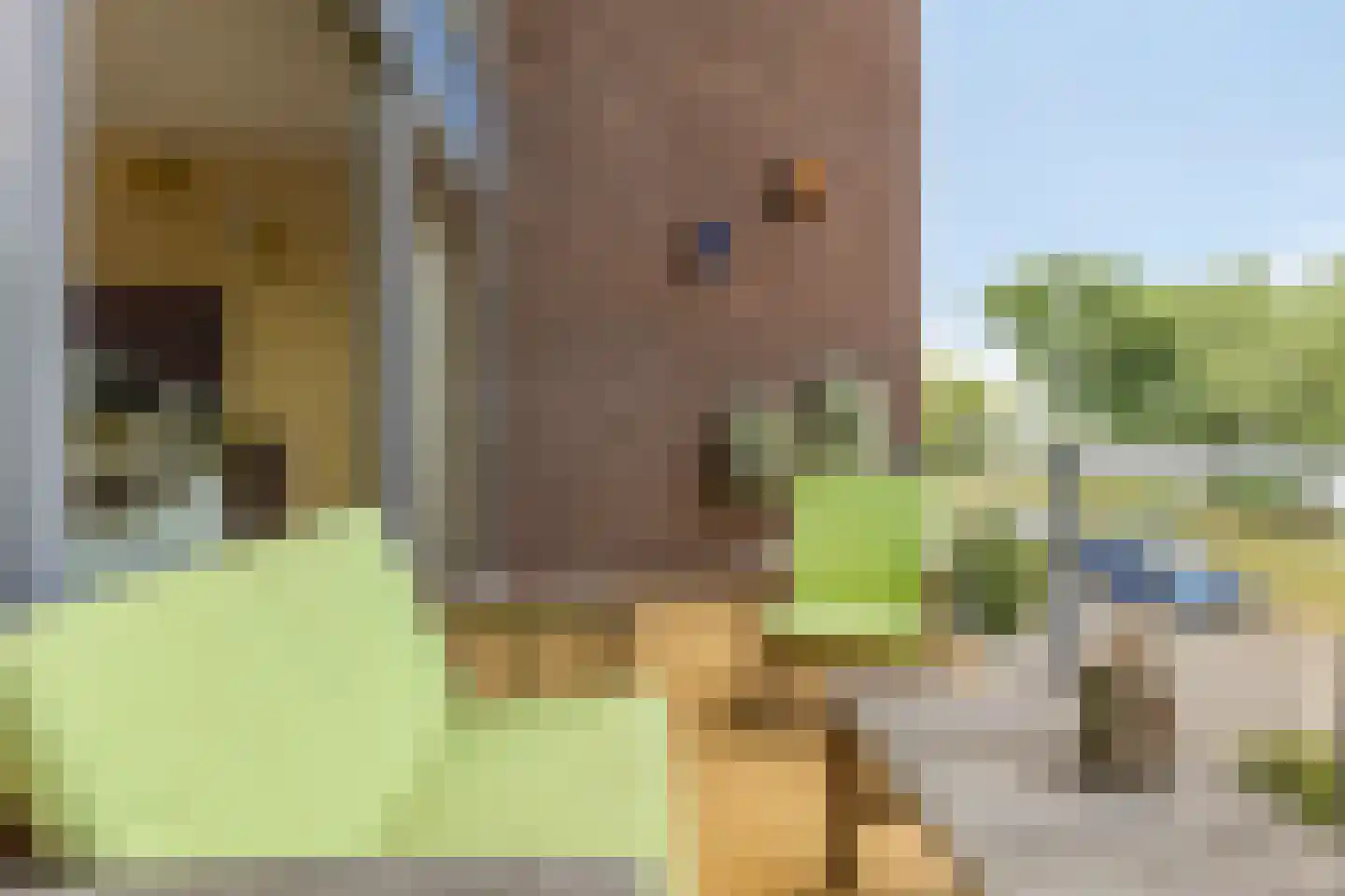 Reling 4 Almere thumbnail 30