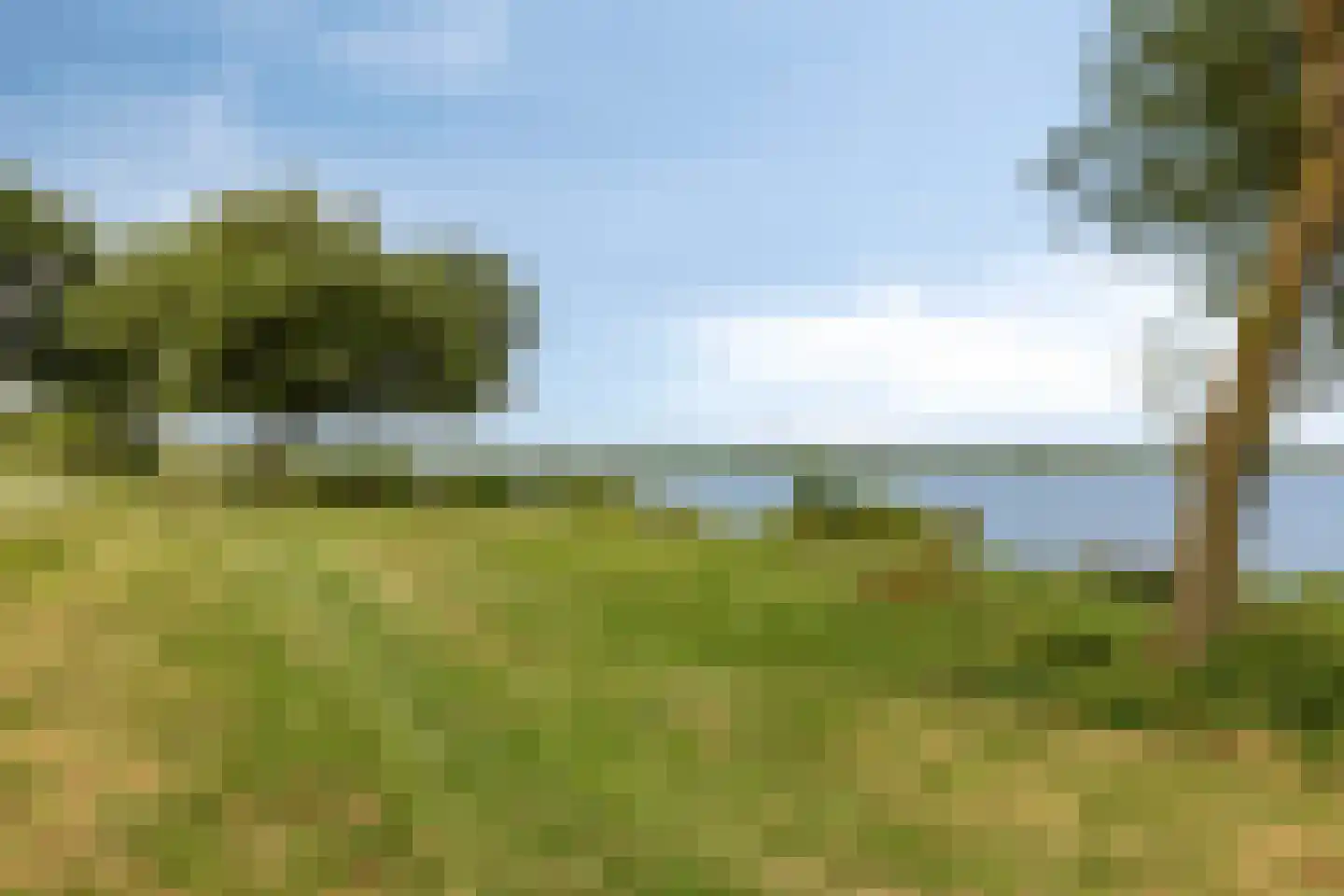 Reling 4 Almere thumbnail 59