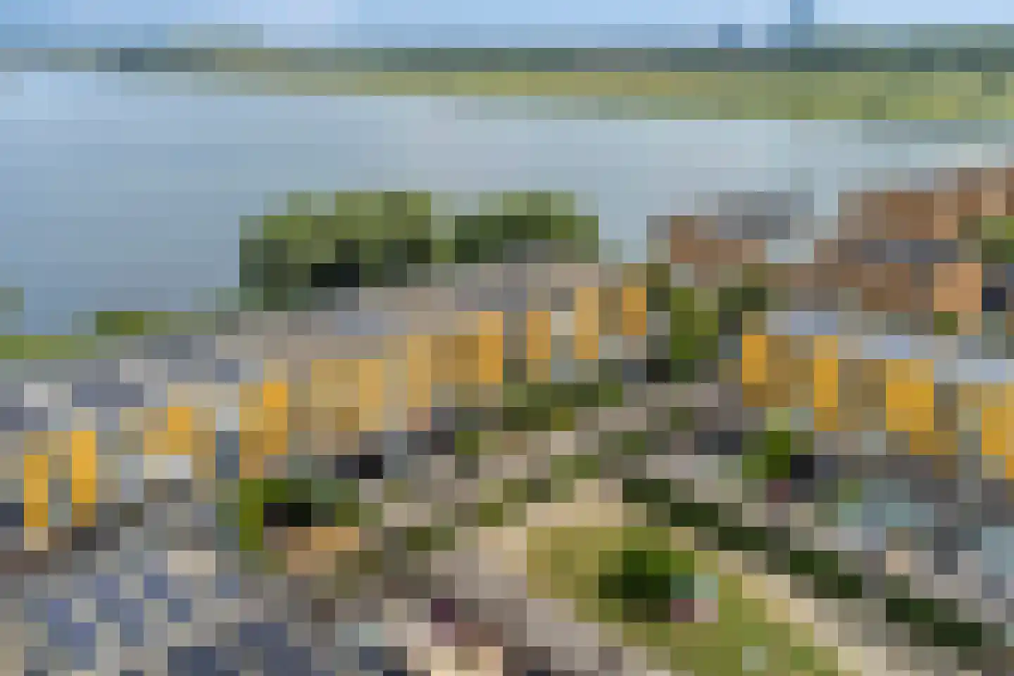 Reling 4 Almere thumbnail 63