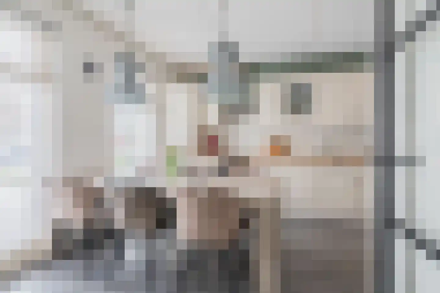 Reling 5 Groningen thumbnail 18