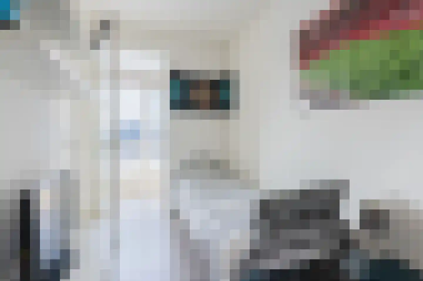 Reling 5 Groningen thumbnail 46