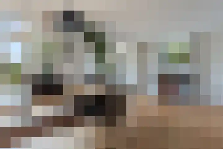 Reling 6 Joure thumbnail 16