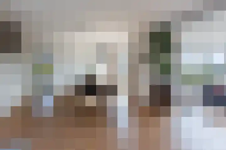Reling 6 Joure thumbnail 17