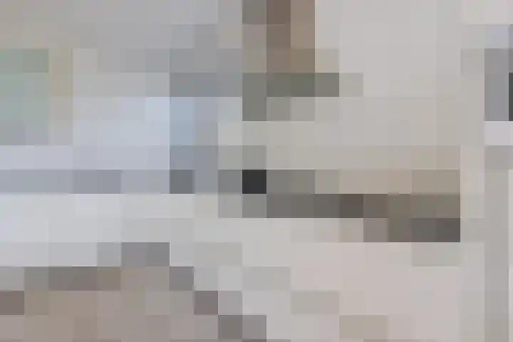 Reling 6 Joure thumbnail 19