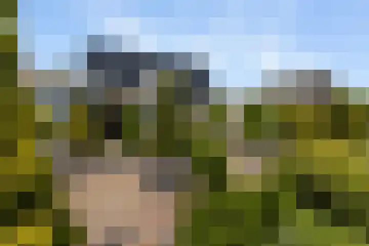 Reling 6 Joure thumbnail 30