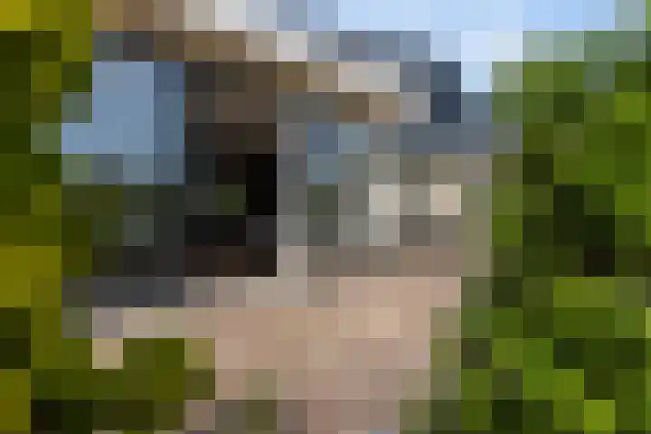Reling 6 Joure thumbnail 31