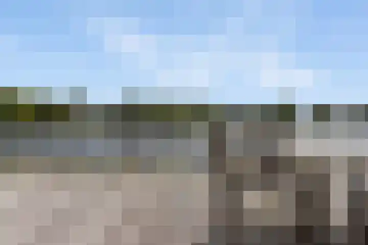 Reling 6 Joure thumbnail 39