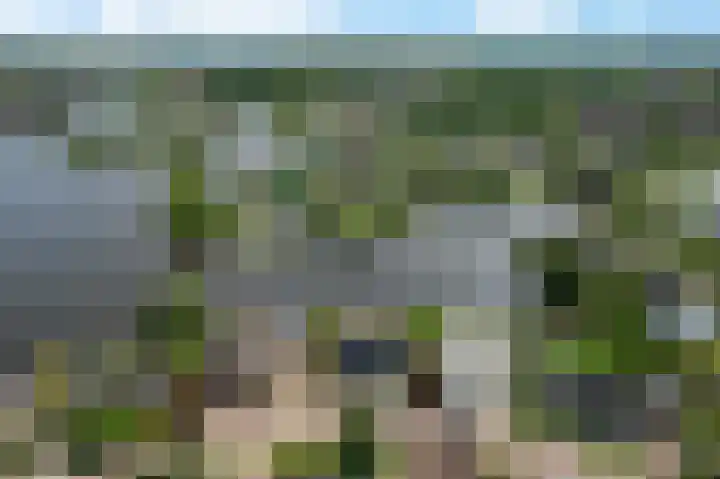 Reling 6 Joure thumbnail 40