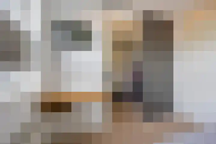 Reling 71 Nijkerk thumbnail 18