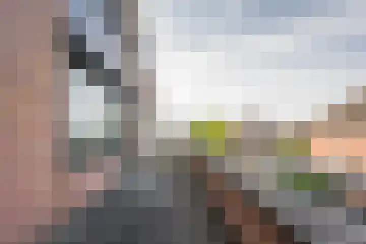 Reling 71 Nijkerk thumbnail 19