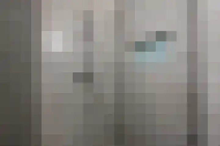 Reling 71 Nijkerk thumbnail 26