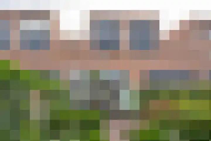 Reling 71 Nijkerk thumbnail 34