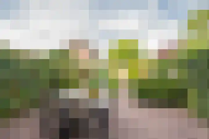 Reling 71 Nijkerk thumbnail 35