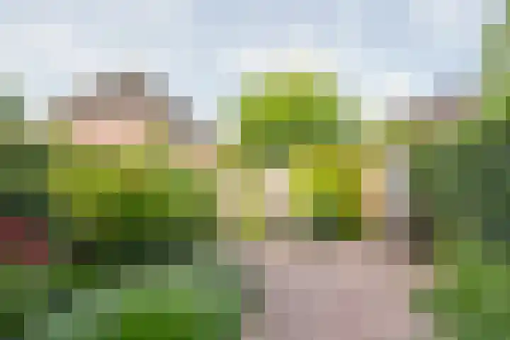 Reling 71 Nijkerk thumbnail 36