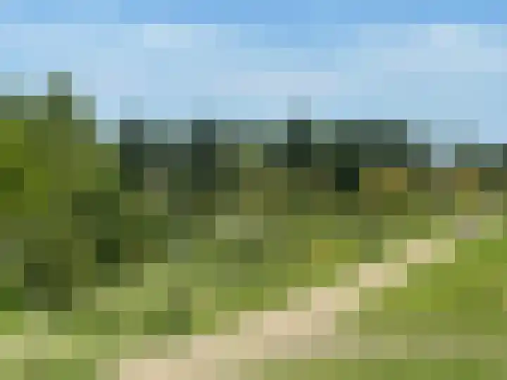 Reling 71 Nijkerk thumbnail 41