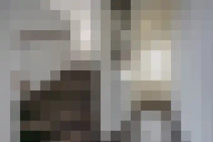 Reling 71 Nijkerk thumbnail 7