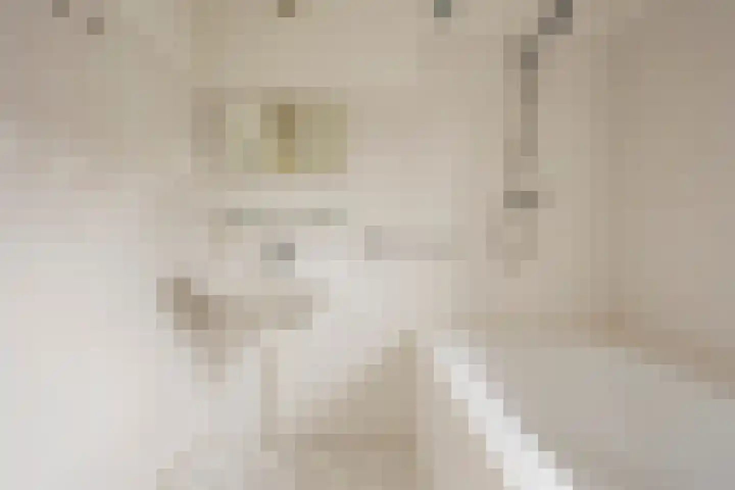 Reling 8 Nijkerk thumbnail 14