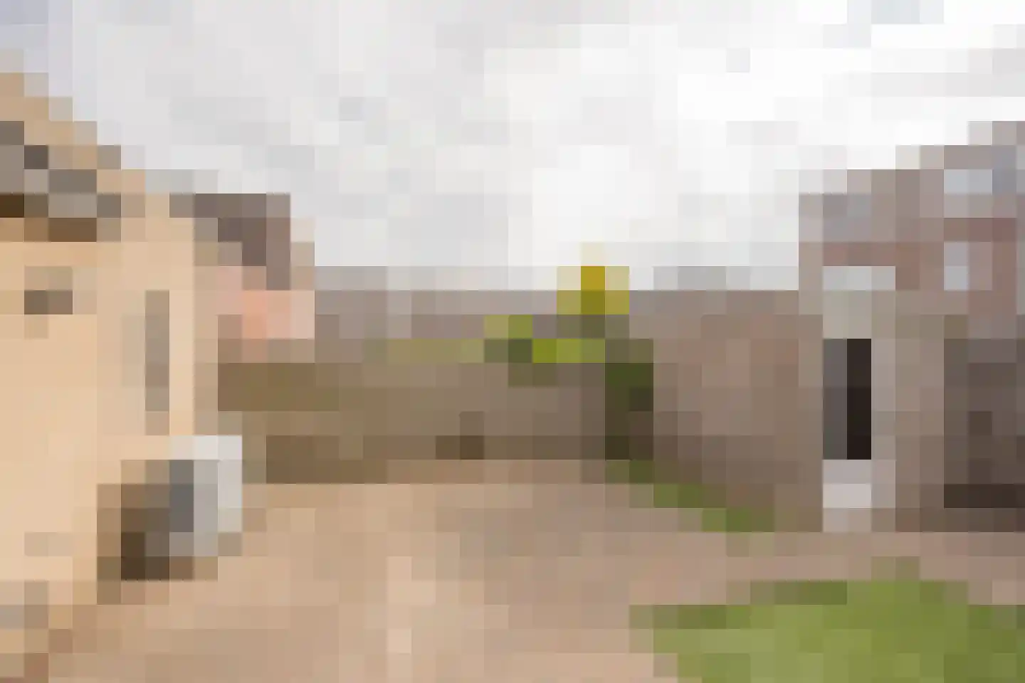 Reling 8 Nijkerk thumbnail 20
