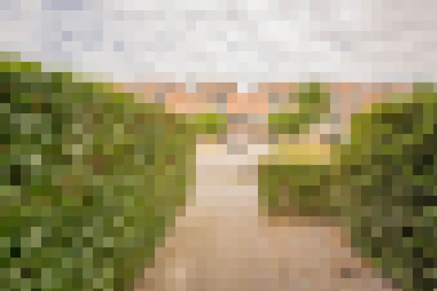 Reling 8 Nijkerk thumbnail 23