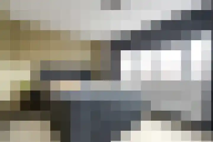 Reling 86 Nijkerk thumbnail 17