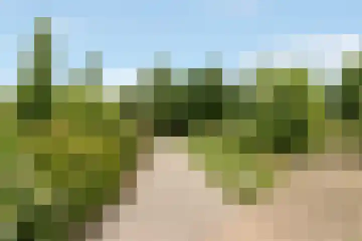Reling 86 Nijkerk thumbnail 37