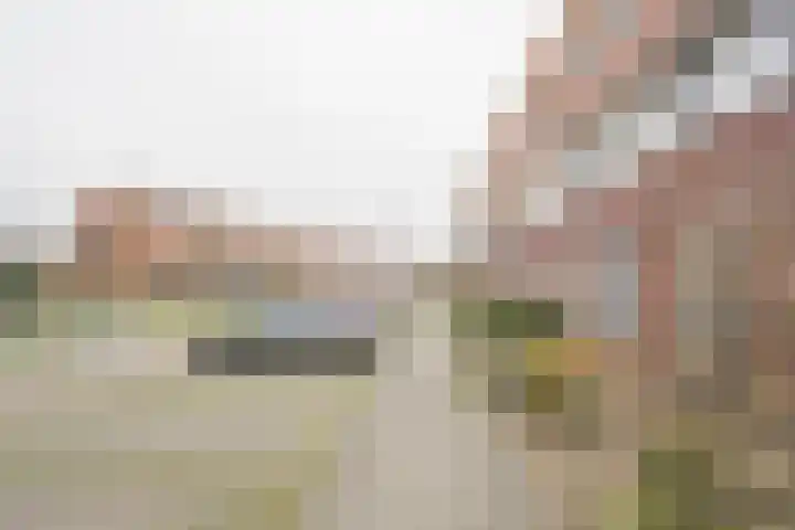 Reling 92 Nijkerk thumbnail 29