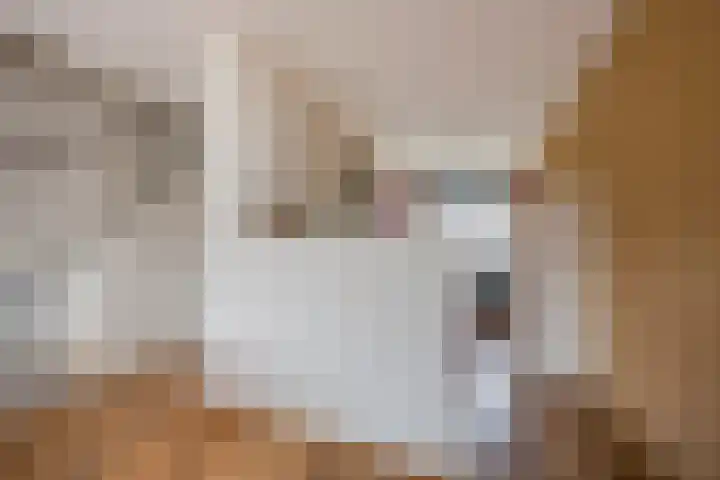 Reling 92 Nijkerk thumbnail 5