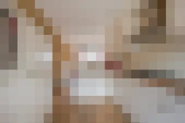 Reling 92 Nijkerk thumbnail 7
