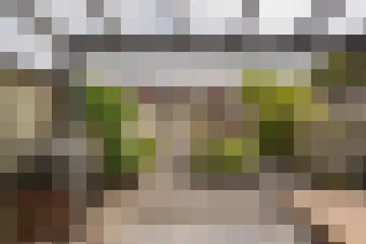 Reling 94 Nijkerk thumbnail 27