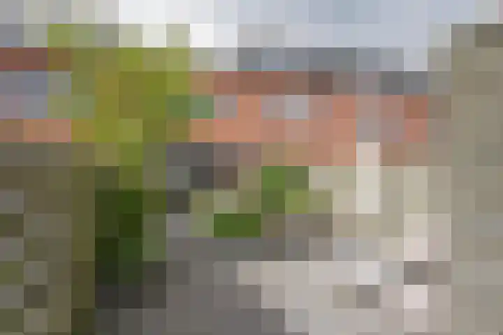 Reling 94 Nijkerk thumbnail 28