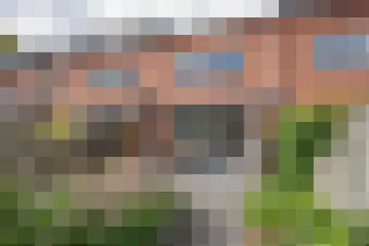 Reling 94 Nijkerk thumbnail 29