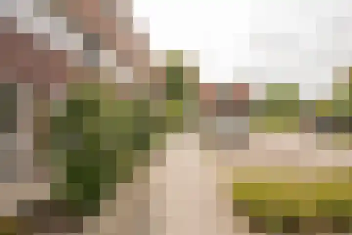 Reling 94 Nijkerk thumbnail 34
