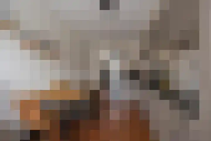 Reling 94 Nijkerk thumbnail 7