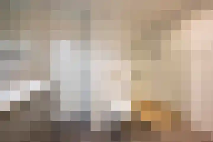Reling 98 Nijkerk thumbnail 23