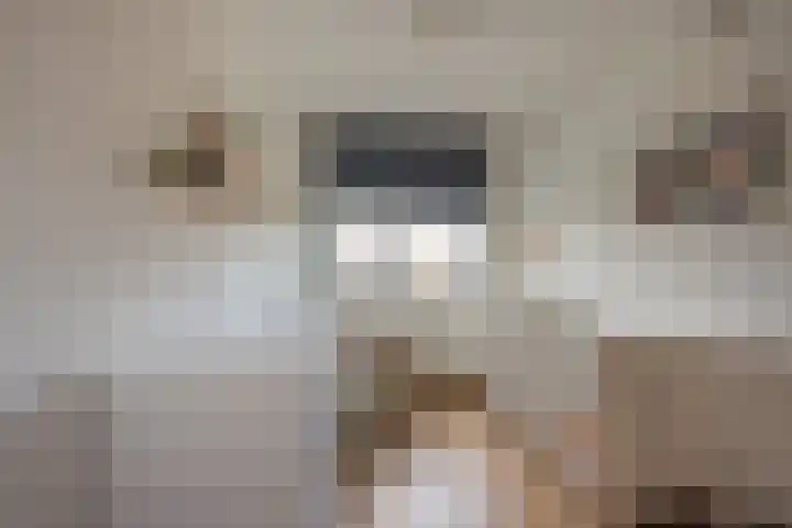 Reling 98 Nijkerk thumbnail 28
