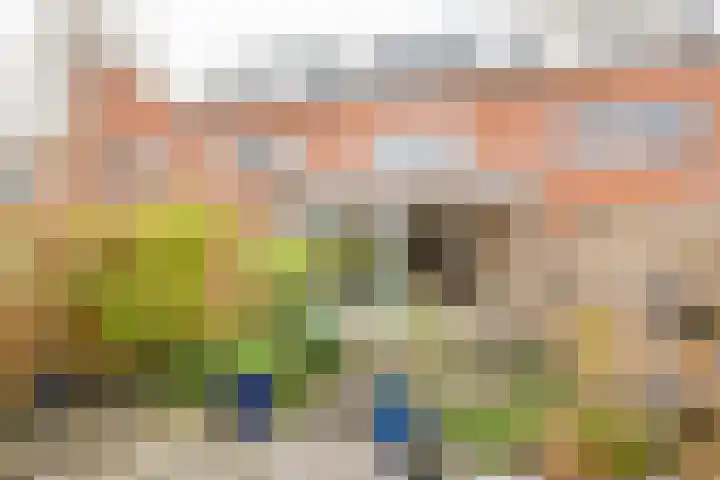 Reling 98 Nijkerk thumbnail 31