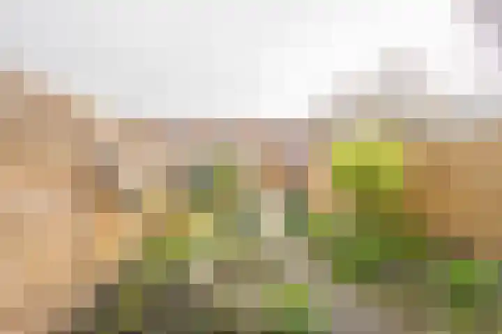 Reling 98 Nijkerk thumbnail 32