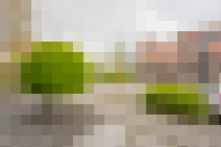 Reling 98 Nijkerk thumbnail 33