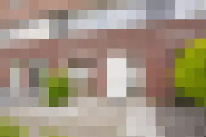 Reling 98 Nijkerk thumbnail 34