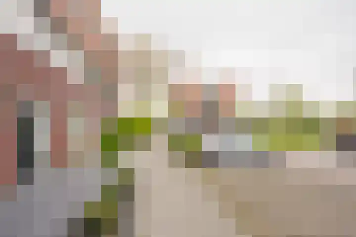 Reling 98 Nijkerk thumbnail 35