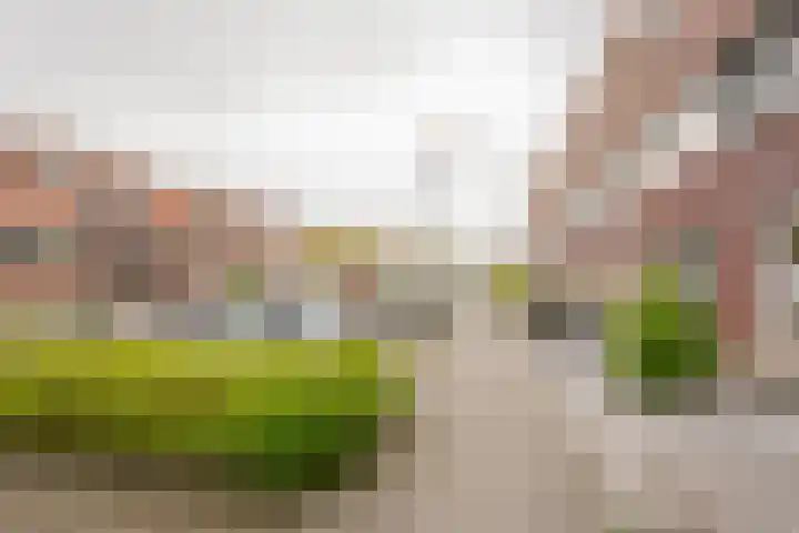 Reling 98 Nijkerk thumbnail 36
