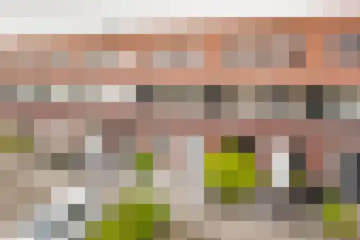 Reling 98 Nijkerk thumbnail 37