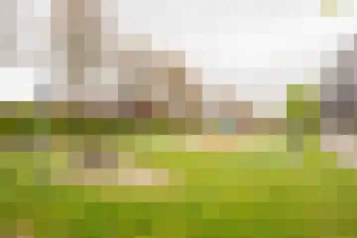 Reling 98 Nijkerk thumbnail 38