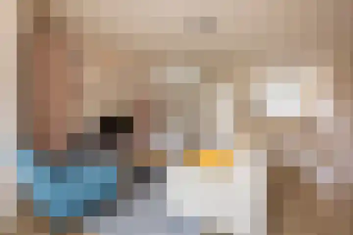 Reling 98 Nijkerk thumbnail 6