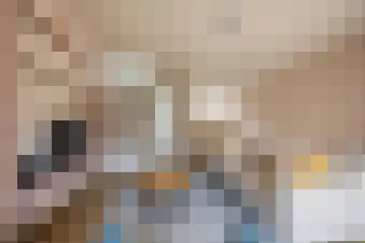 Reling 98 Nijkerk thumbnail 7
